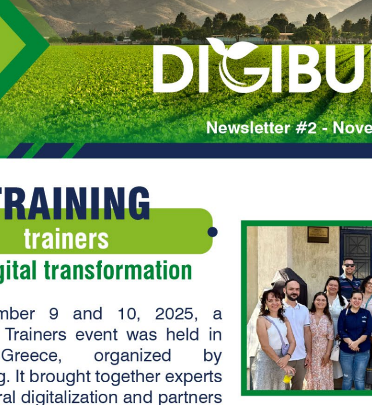The 2nd DigiBuild newsletter is now available!